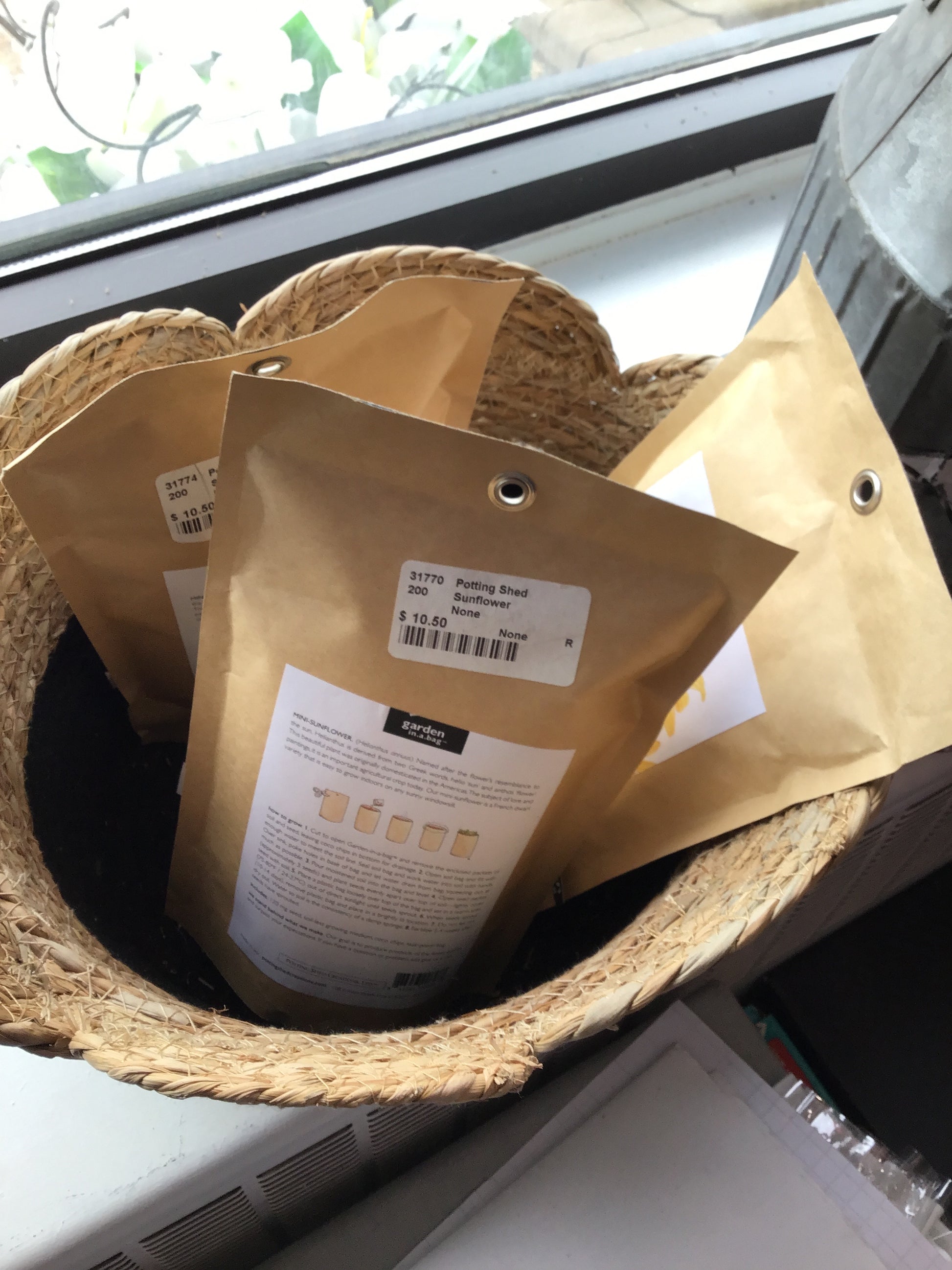 Garden in a bag