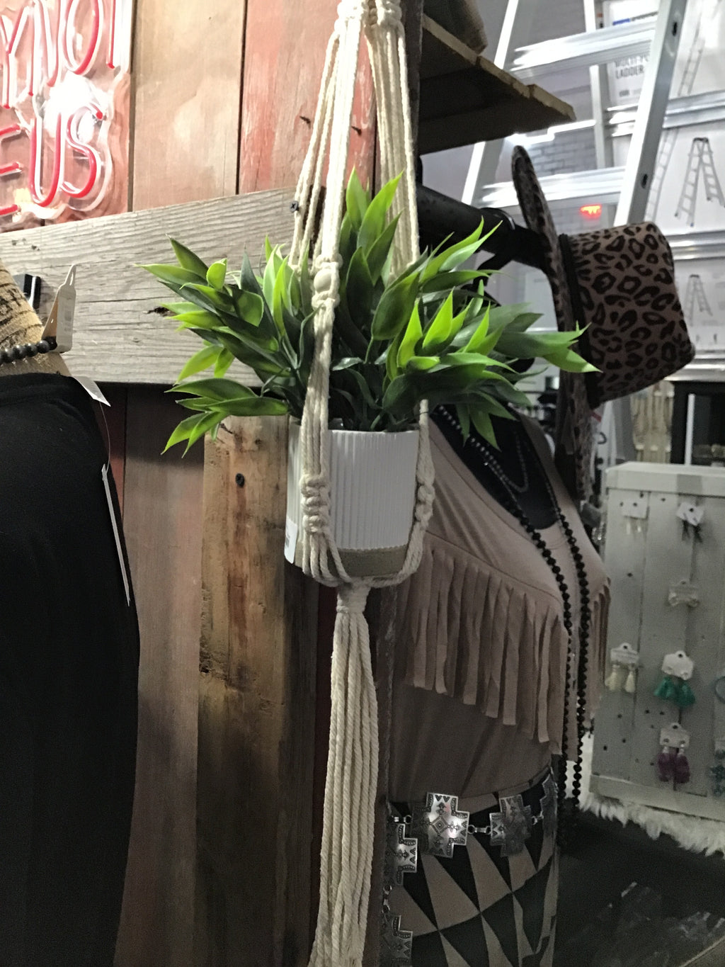 Plant holding wall hangers