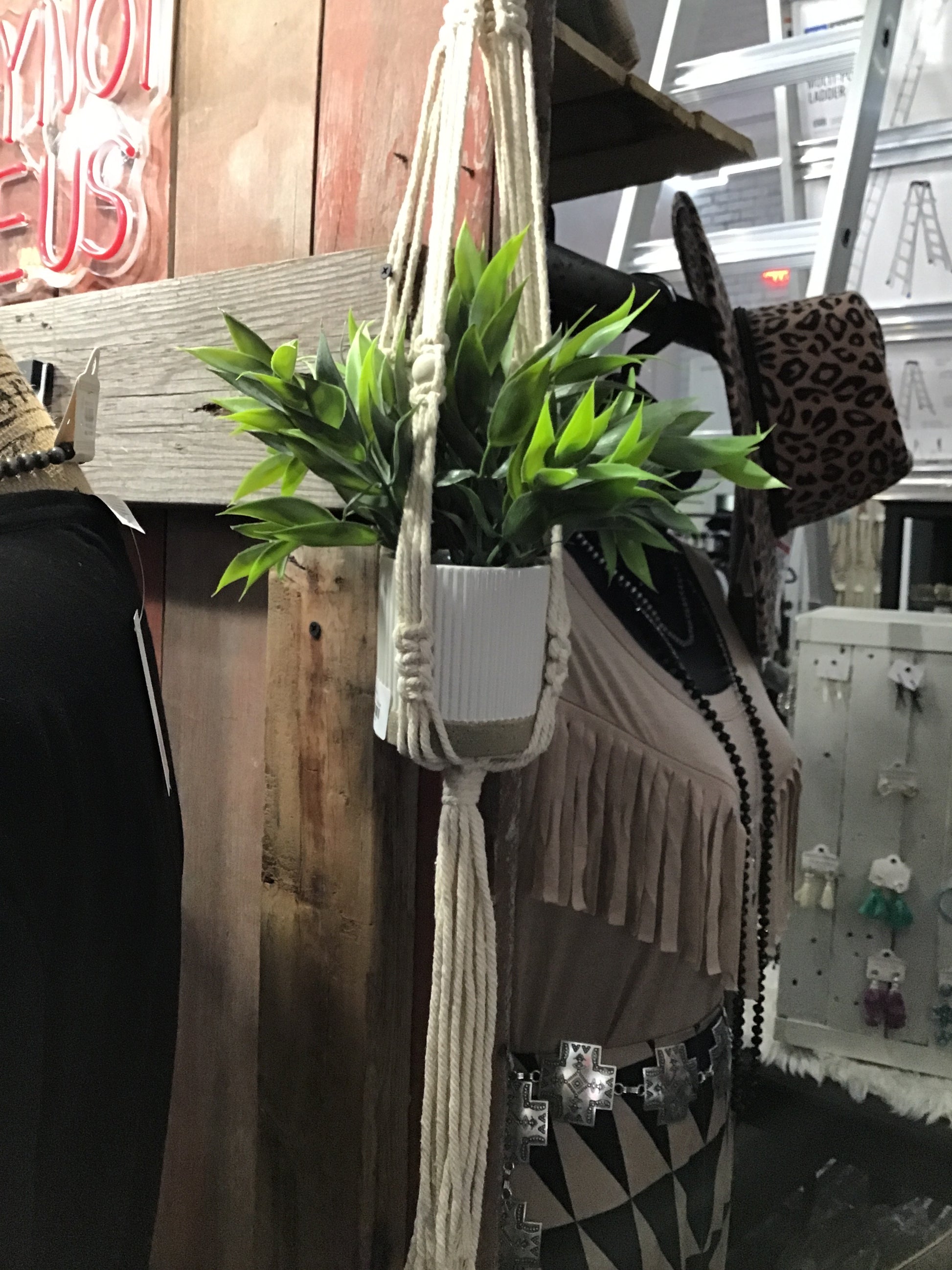 Plant holding wall hangers