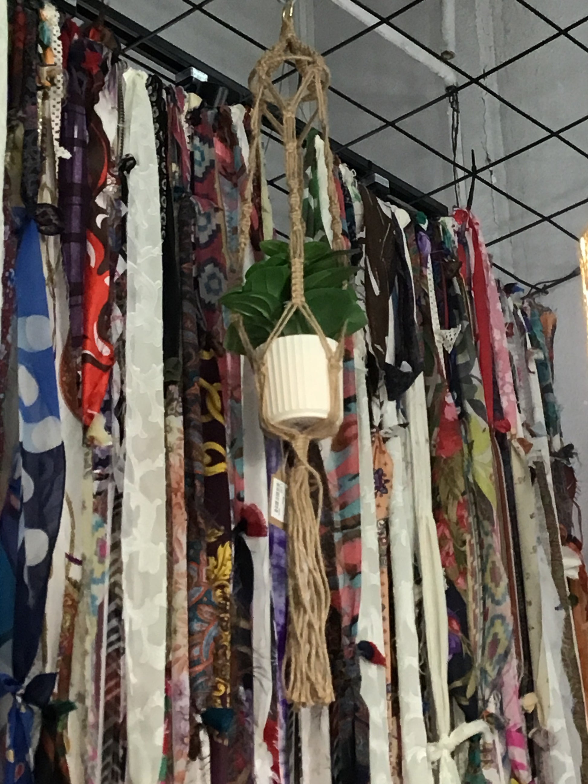 Plant holding wall hangers