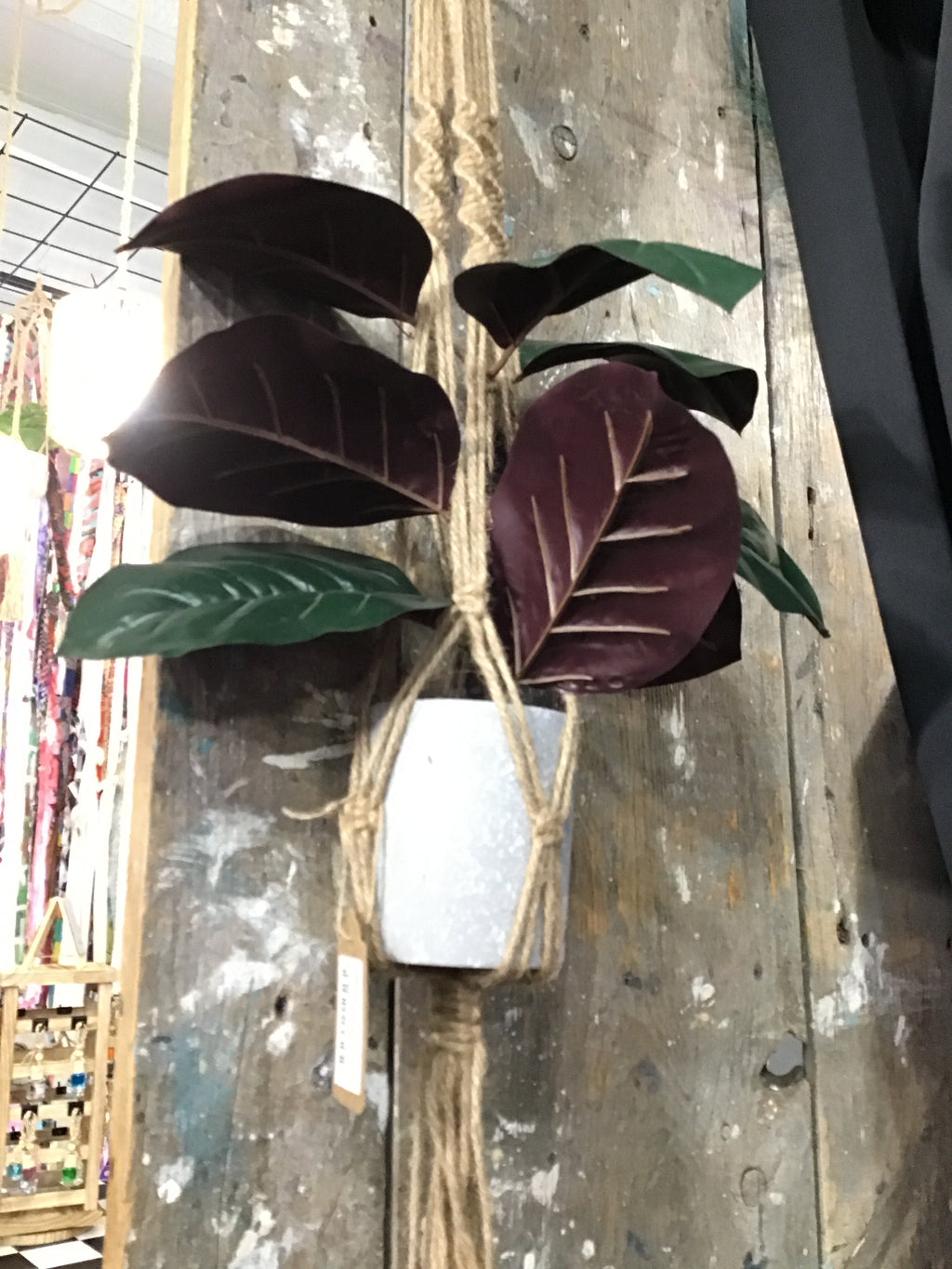 Plant holding wall hangers