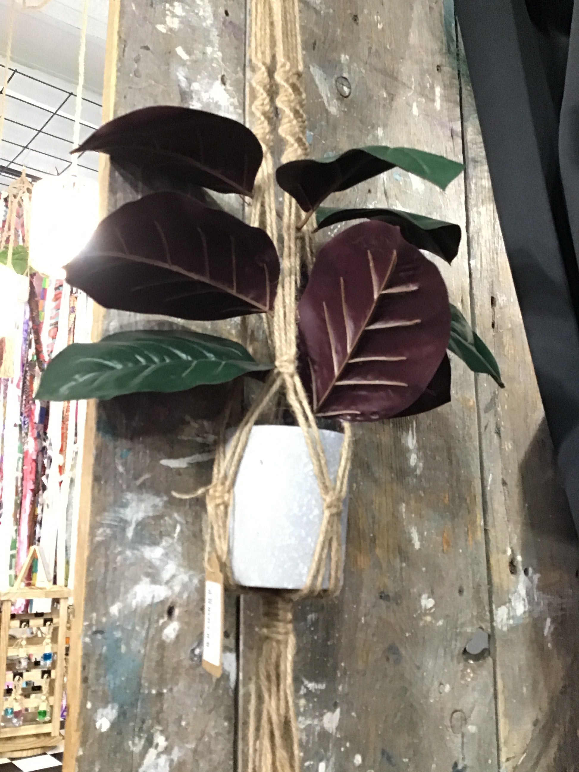Plant holding wall hangers