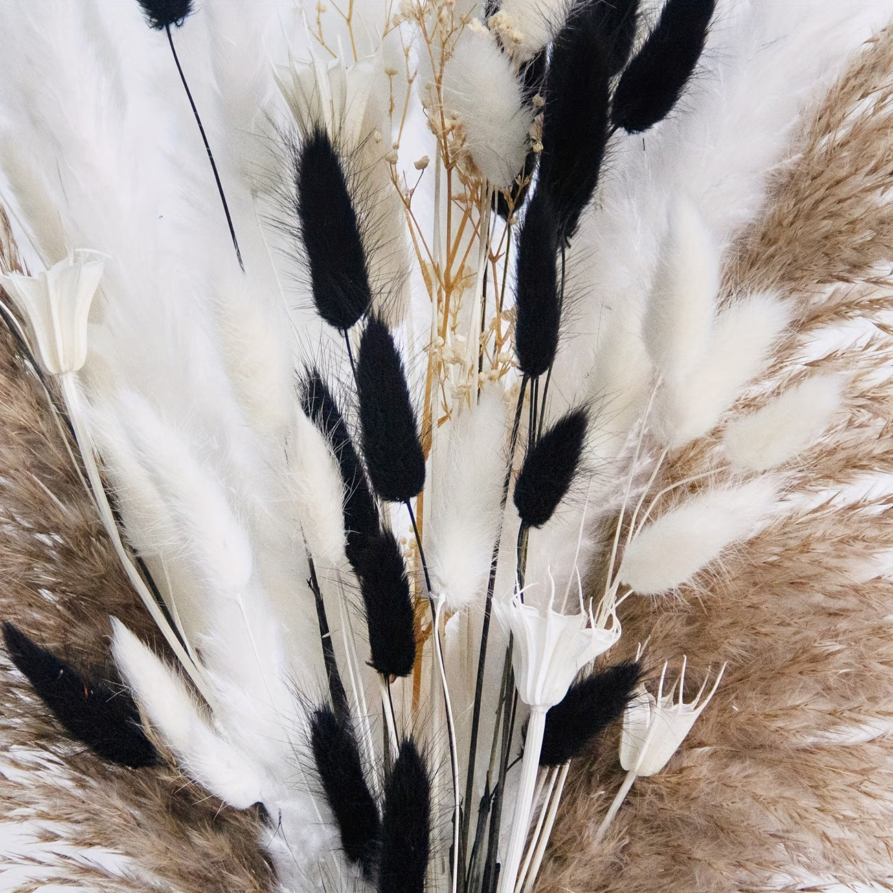 Boho pampas