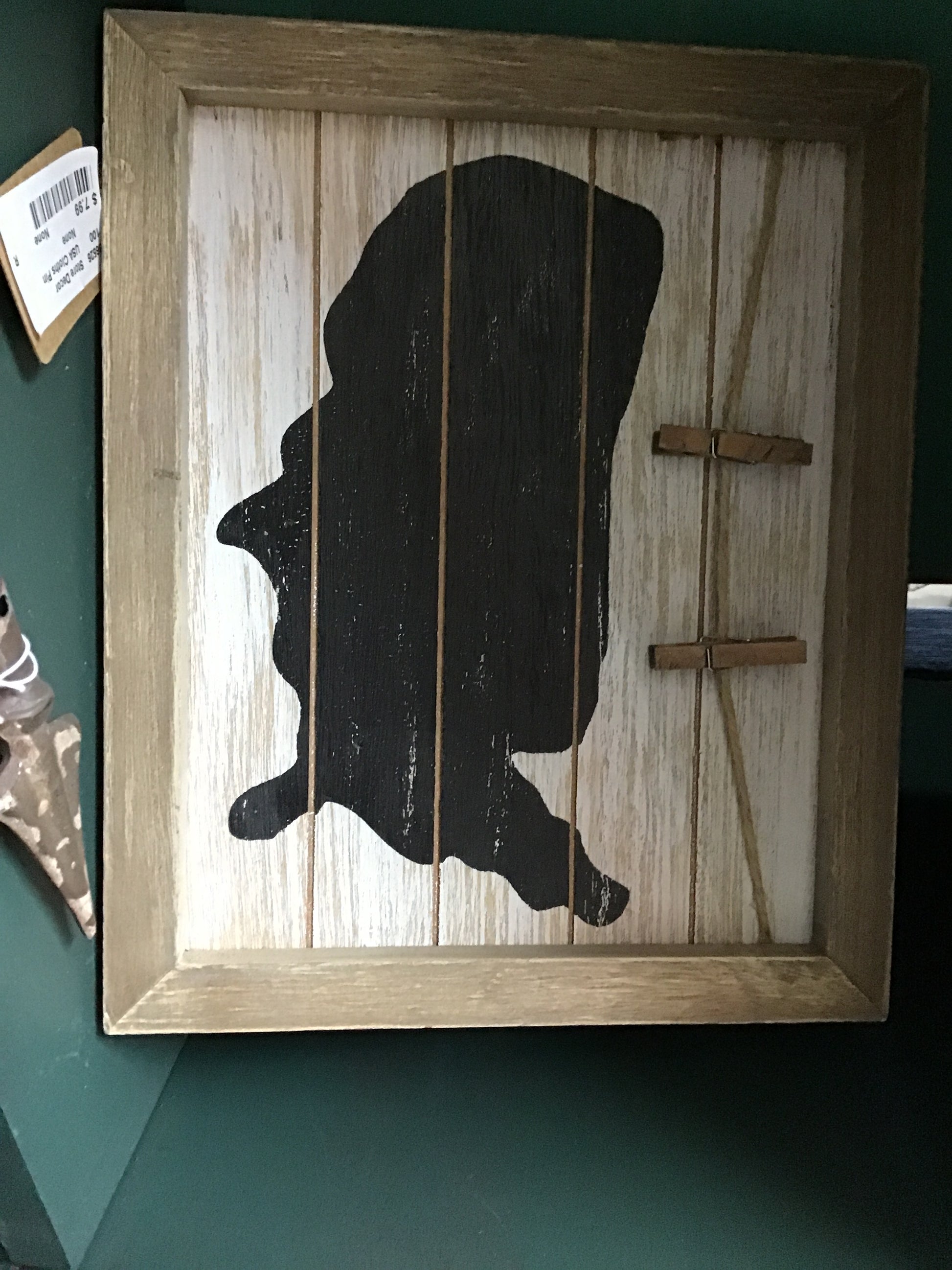 USA clothes pin