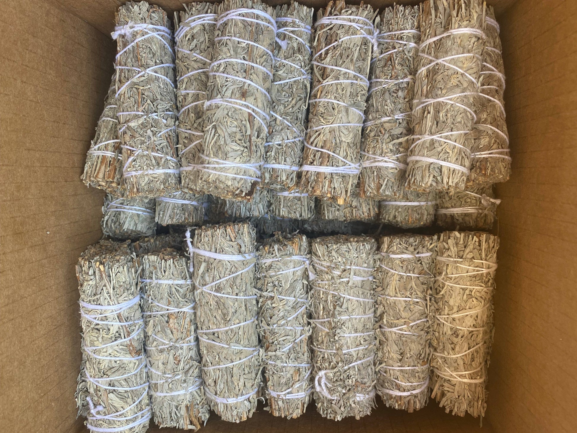 Blue Sage Bundles