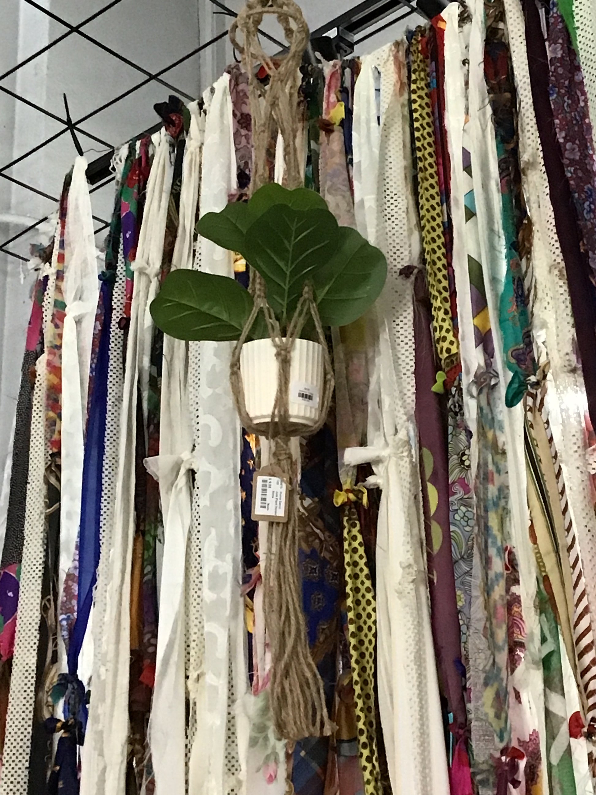 Plant holding wall hangers