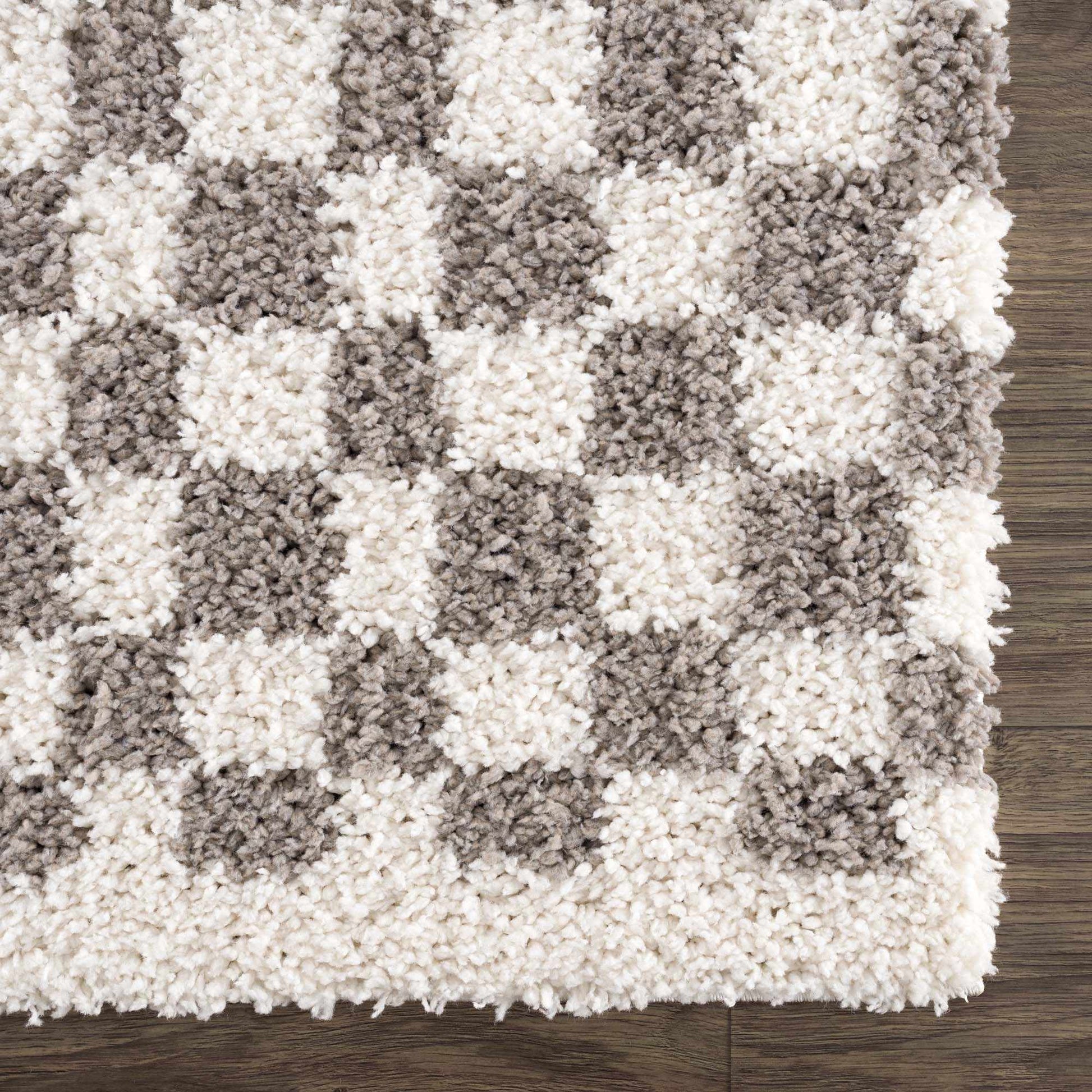 Kieu Taupe Checkered Plush Rug
