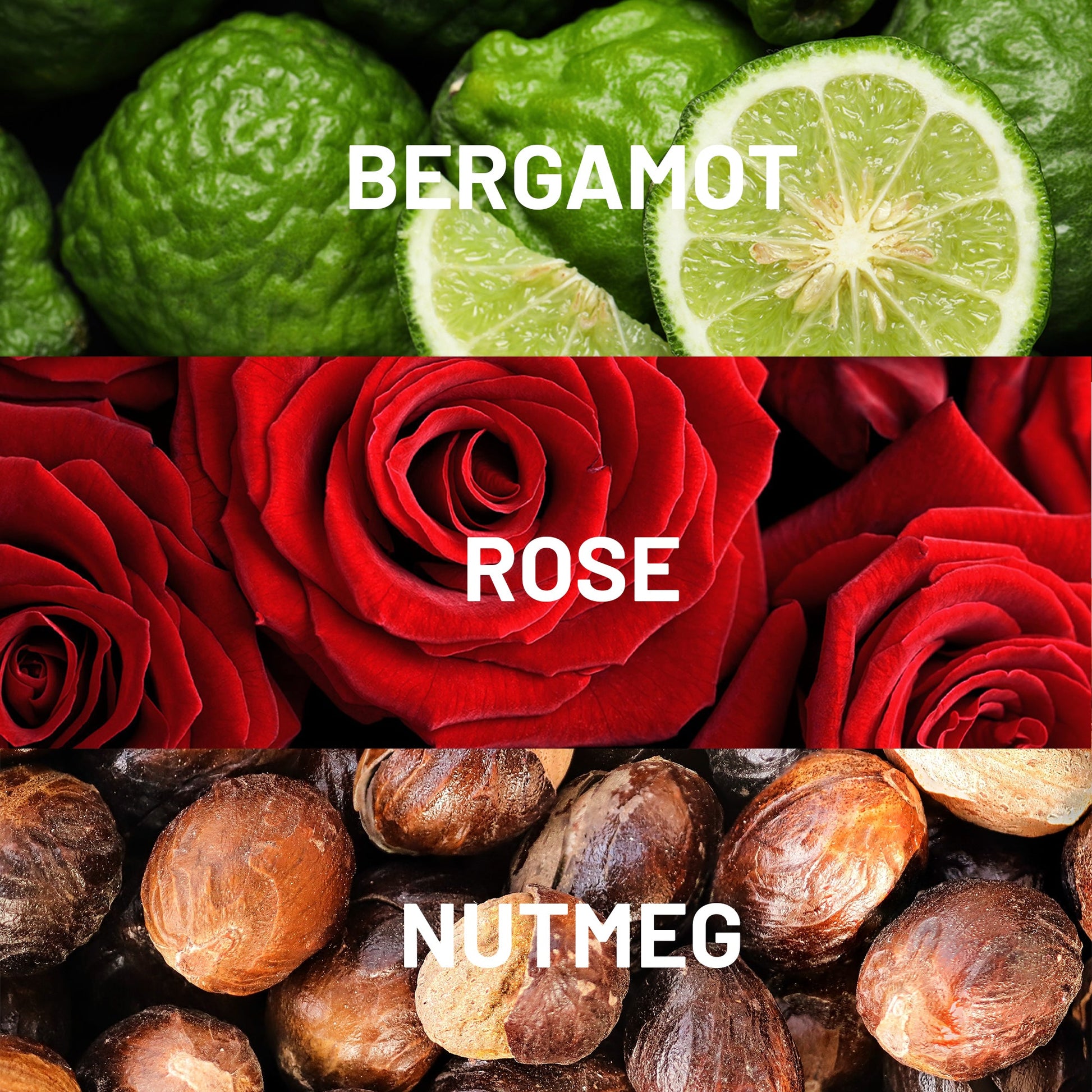 Bonbori