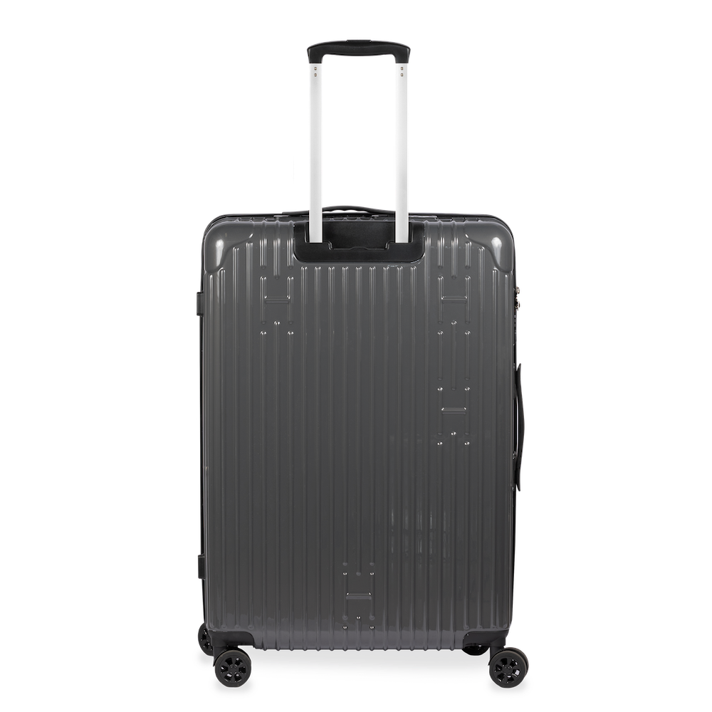 Check-In Luggage