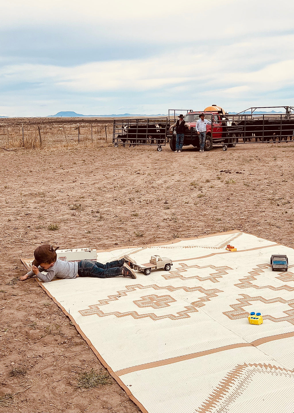 RANCH RUGS - 9ft x 12ft - ALPINE - Tan + Ivory