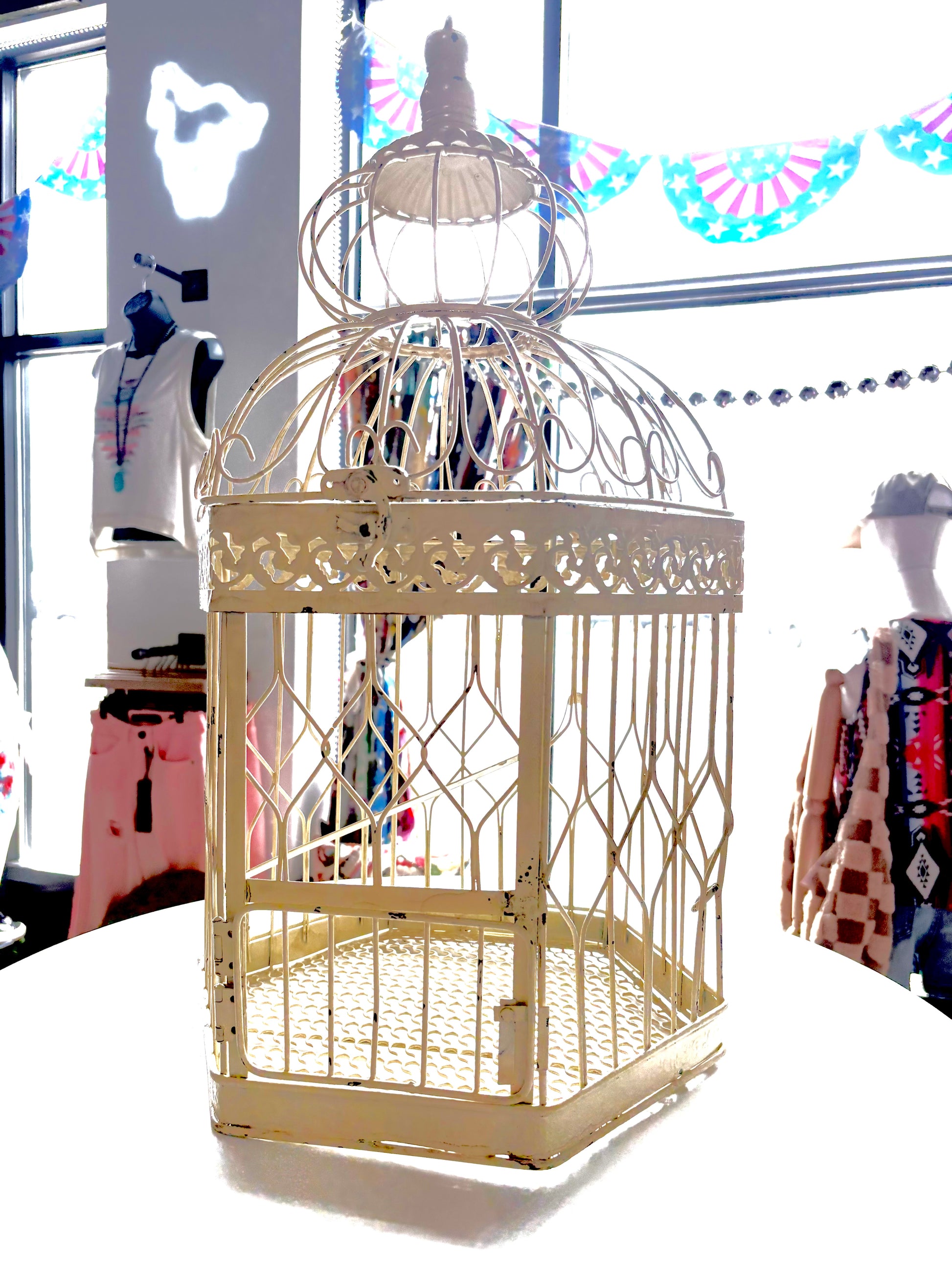 Decorative Bird Cages