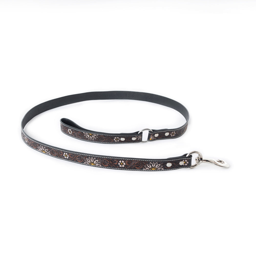 Clairmonte Dog Leash In Black