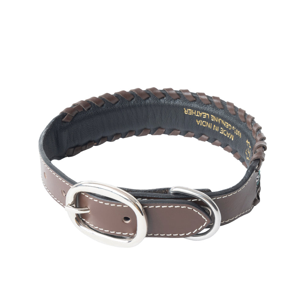Freedom Trail Dog Collar In Black & Turquoise