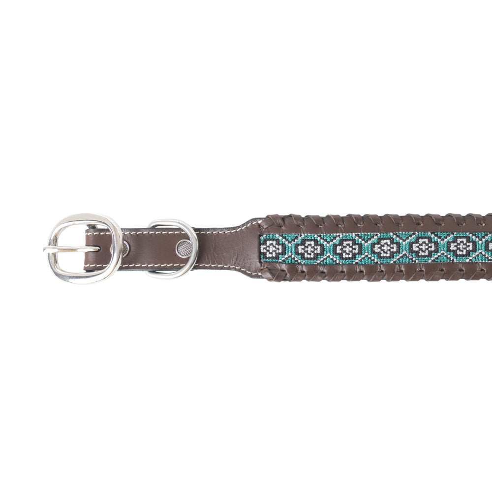 Freedom Trail Dog Collar In Black & Turquoise