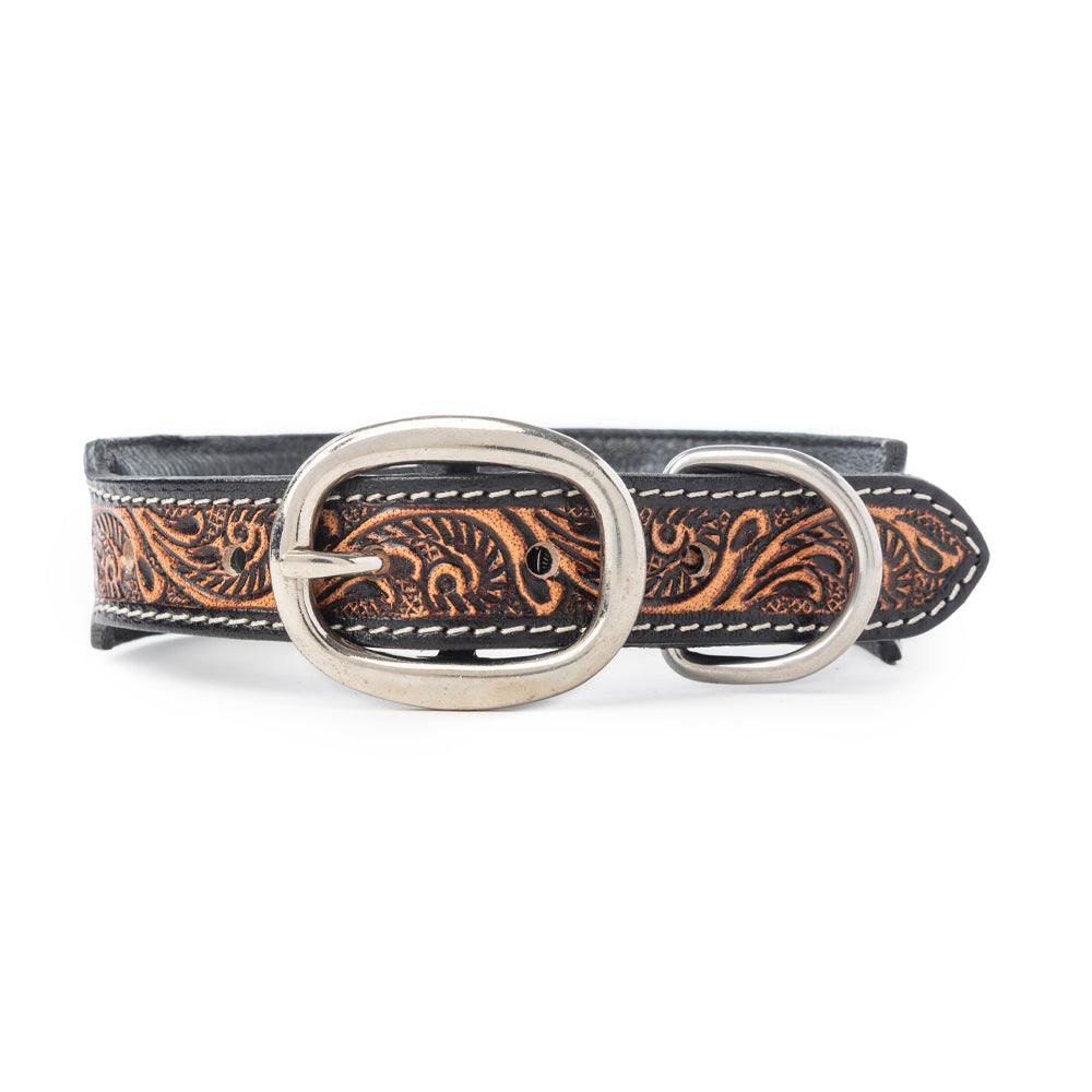 Turquoise Trail Cowboy Dog Collar in Black