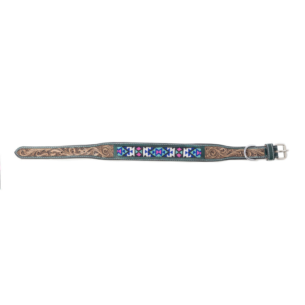 Turquoise Blossom Western Dog Collar in Brown