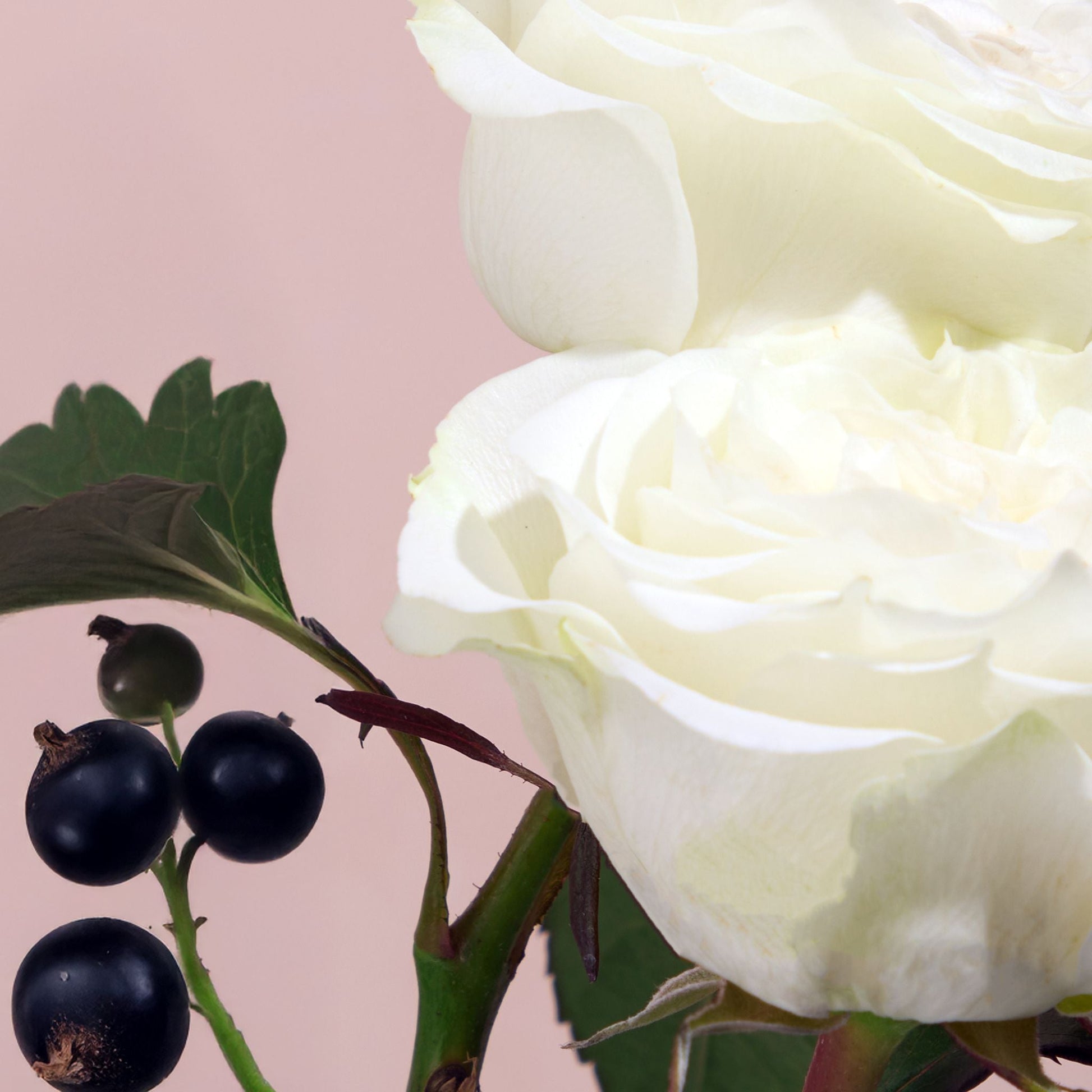 Floral as F*ck Interior Spray