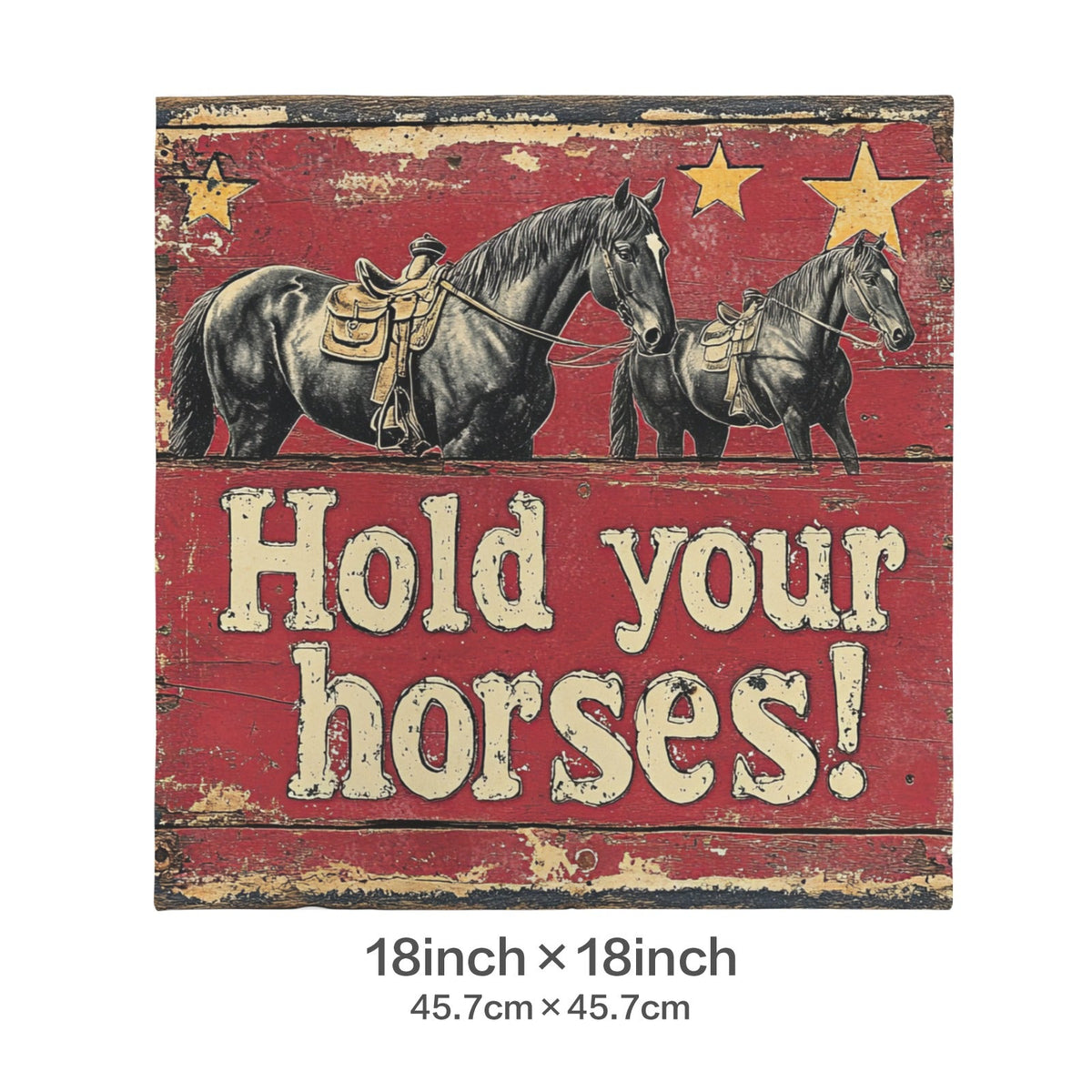 Baha Ranch Hold Your Horses Velvety Soft Pillow Case Made in America