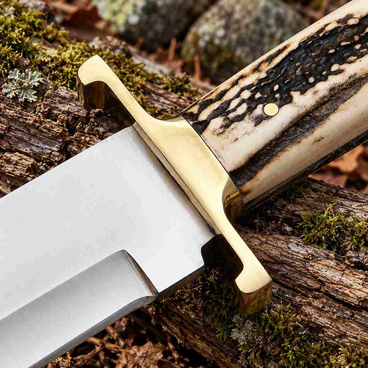 Handmade D2 Steel Bowie Knife with Stag Handle and Leather Sheath