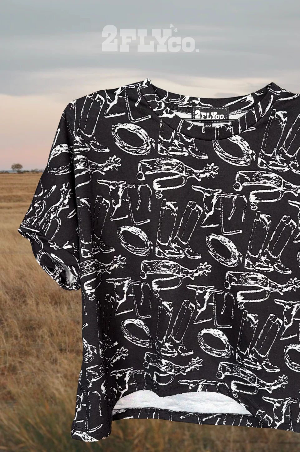 COWBOY CONSTELLATIONS