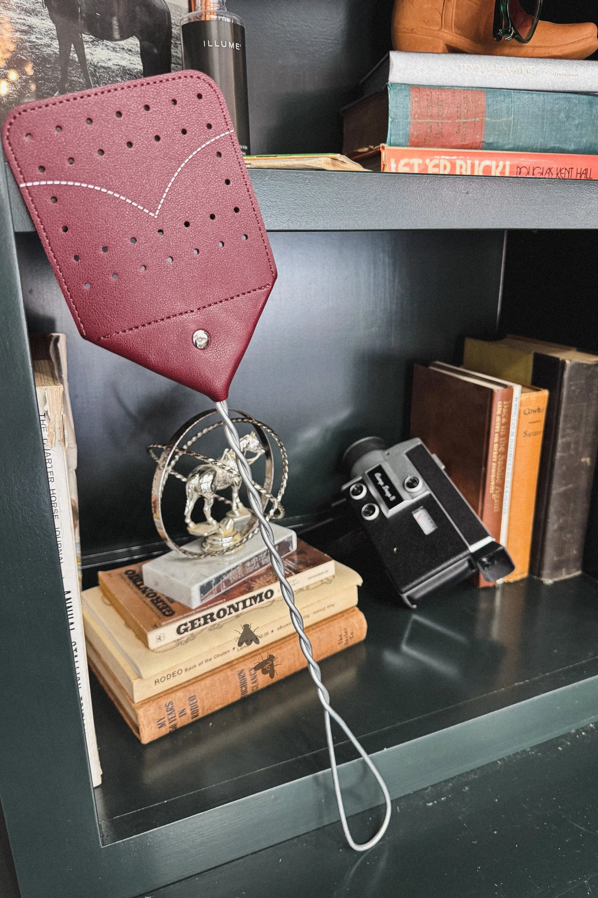 FLY SWAT IT