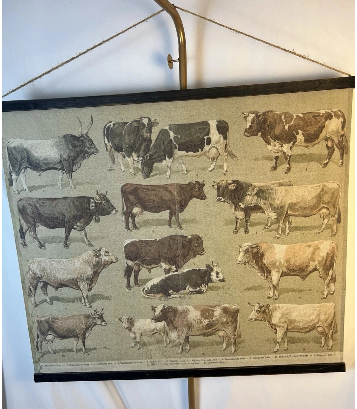 Wall canvas