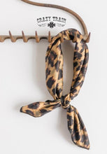 Load image into Gallery viewer, Caboose Kids wild rag satin scarfs
