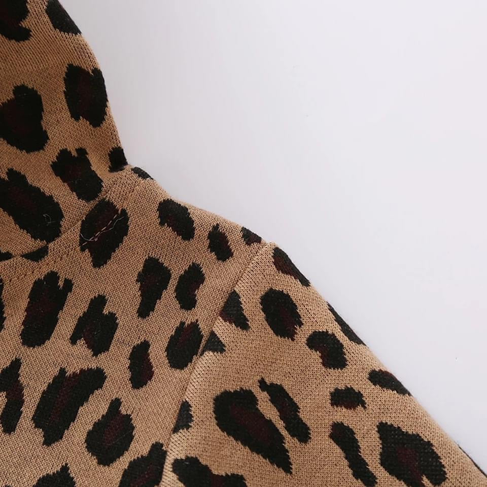 Leo Hoodie Jumper